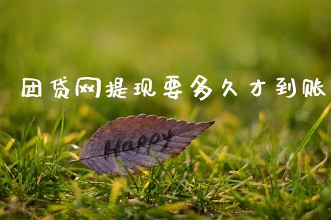 团贷网提现要多久才到账_https://wap.fcdydaikuan.com_期货品种_第1张