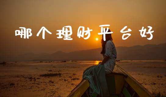 哪个理财平台好_https://wap.fcdydaikuan.com_期货品种_第1张