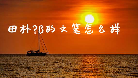 田朴?B的文笔怎么样_https://wap.fcdydaikuan.com_投资策略_第1张
