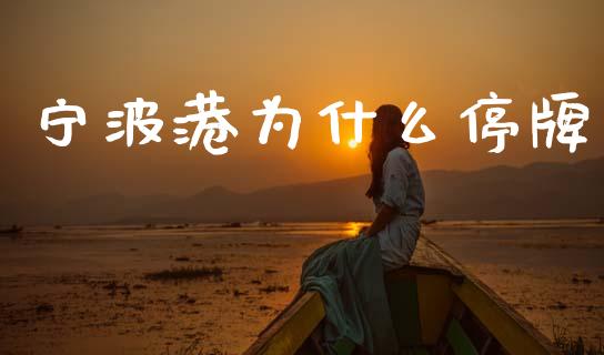宁波港为什么停牌_https://wap.fcdydaikuan.com_新股数据_第1张