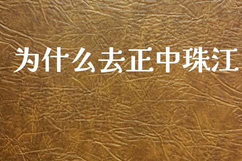 为什么去正中珠江_https://wap.fcdydaikuan.com_理财顾问_第1张