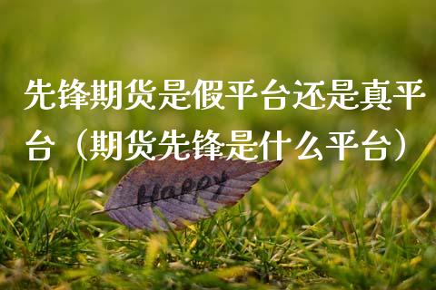 先锋期货是假平台还是真平台（期货先锋是什么平台）_https://wap.fcdydaikuan.com_金融机构_第1张