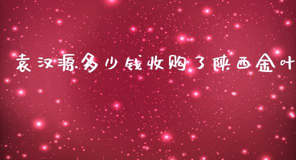 袁汉源多少钱收购了陕西金叶_https://wap.fcdydaikuan.com_期货品种_第1张