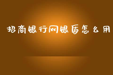 招商银行网银盾怎么用_https://wap.fcdydaikuan.com_期货品种_第1张