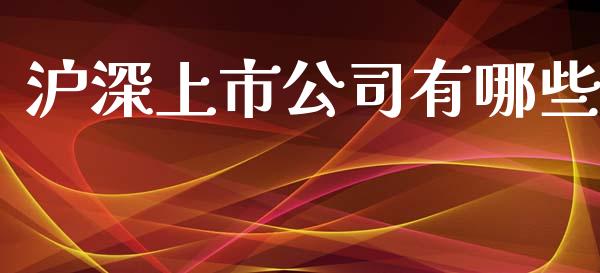 沪深上市公司有哪些_https://wap.fcdydaikuan.com_国际投资_第1张
