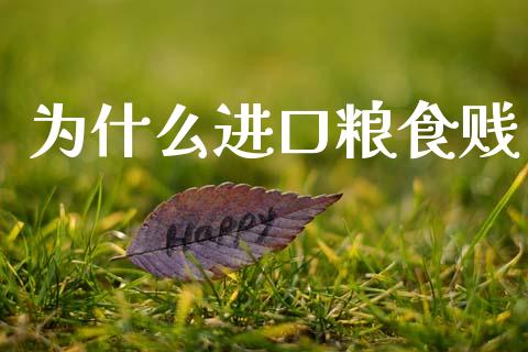 为什么进口粮食贱_https://wap.fcdydaikuan.com_金融机构_第1张