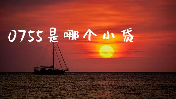 0755是哪个小贷_https://wap.fcdydaikuan.com_理财顾问_第1张