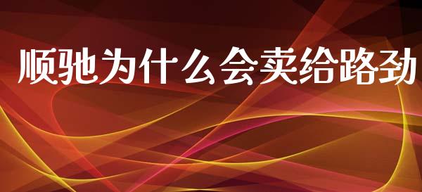 顺驰为什么会卖给路劲_https://wap.fcdydaikuan.com_理财顾问_第1张