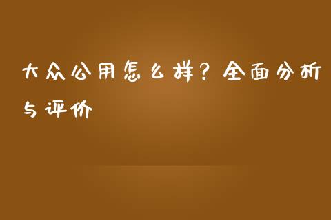 大众公用怎么样？全面分析与评价_https://wap.fcdydaikuan.com_新股数据_第1张