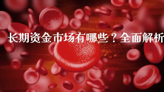 长期资金市场有哪些？全面解析_https://wap.fcdydaikuan.com_期货品种_第1张