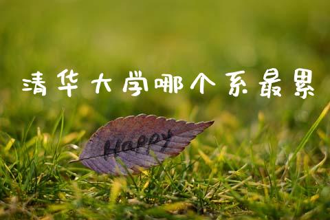 清华大学哪个系最累_https://wap.fcdydaikuan.com_理财顾问_第1张