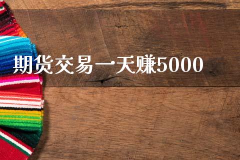 期货交易一天赚5000_https://wap.fcdydaikuan.com_期货品种_第1张