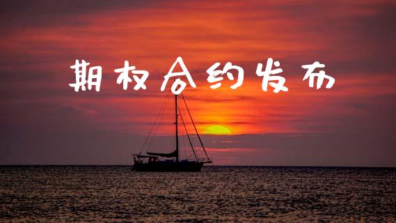 期权合约发布_https://wap.fcdydaikuan.com_新股数据_第1张
