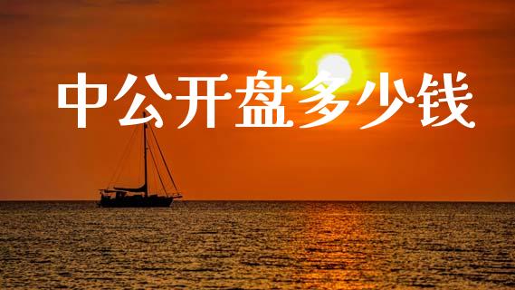 中公开盘多少钱_https://wap.fcdydaikuan.com_金融机构_第1张
