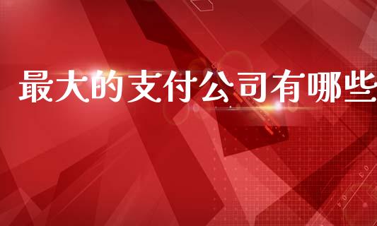 最大的支付公司有哪些_https://wap.fcdydaikuan.com_新股数据_第1张