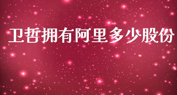 卫哲拥有阿里多少股份_https://wap.fcdydaikuan.com_金融机构_第1张