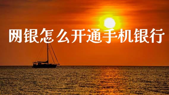 网银怎么开通手机银行_https://wap.fcdydaikuan.com_新股数据_第1张