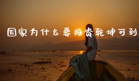 国家为什么要投资乾坤可到_https://wap.fcdydaikuan.com_期货品种_第1张