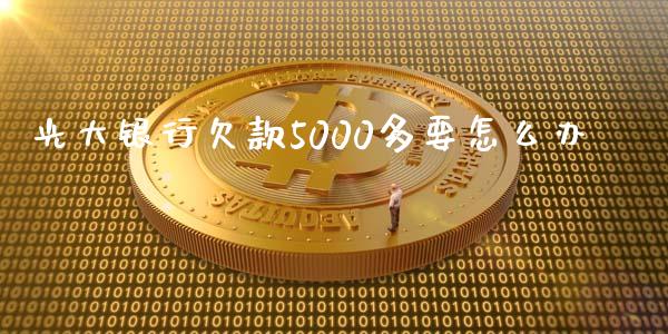 光大银行欠款5000多要怎么办_https://wap.fcdydaikuan.com_投资策略_第1张