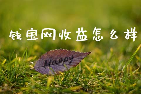 钱宝网收益怎么样_https://wap.fcdydaikuan.com_理财顾问_第1张