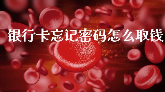 银行卡忘记密码怎么取钱_https://wap.fcdydaikuan.com_期货品种_第1张