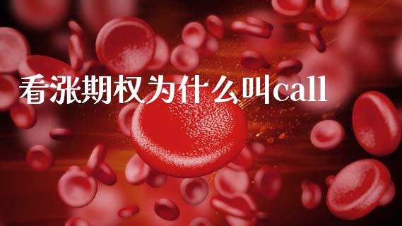 看涨期权为什么叫call_https://wap.fcdydaikuan.com_新股数据_第1张