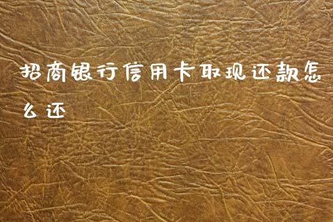 招商银行信用卡取现还款怎么还_https://wap.fcdydaikuan.com_投资策略_第1张