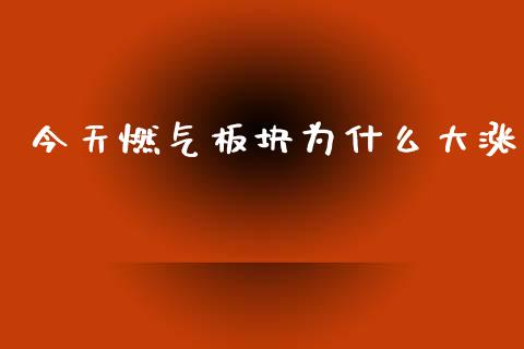 今天燃气板块为什么大涨_https://wap.fcdydaikuan.com_金融机构_第1张