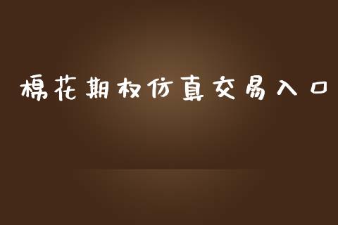 棉花期权仿真交易入口_https://wap.fcdydaikuan.com_投资策略_第1张