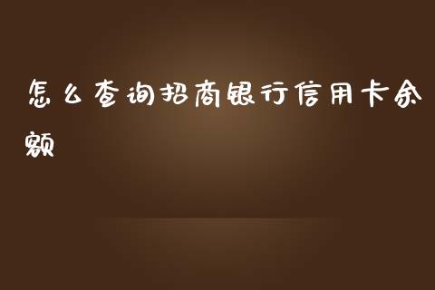 怎么查询招商银行信用卡余额_https://wap.fcdydaikuan.com_国际投资_第1张