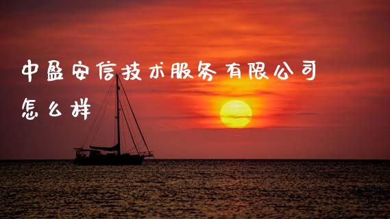 中盈安信技术服务有限公司怎么样_https://wap.fcdydaikuan.com_投资策略_第1张
