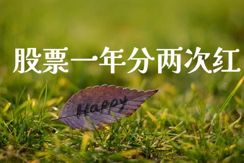 股票一年分两次红_https://wap.fcdydaikuan.com_投资策略_第1张
