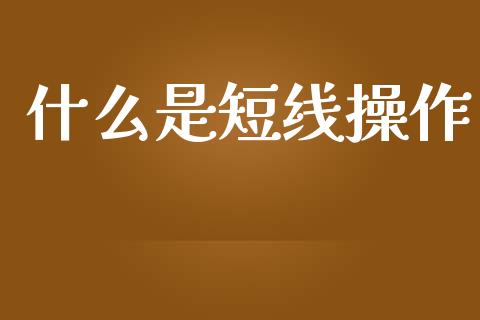 什么是短线操作_https://wap.fcdydaikuan.com_国际投资_第1张