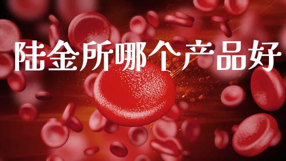 陆金所哪个产品好_https://wap.fcdydaikuan.com_国际投资_第1张