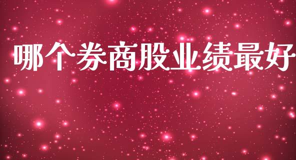 哪个券商股业绩最好_https://wap.fcdydaikuan.com_新股数据_第1张