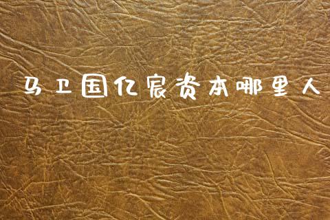 马卫国亿宸资本哪里人_https://wap.fcdydaikuan.com_金融机构_第1张