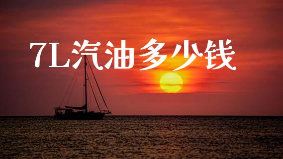 7L汽油多少钱_https://wap.fcdydaikuan.com_国际投资_第1张