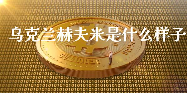 乌克兰赫夫米是什么样子_https://wap.fcdydaikuan.com_投资策略_第1张