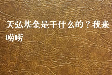 天弘基金是干什么的？我来唠唠_https://wap.fcdydaikuan.com_国际投资_第1张