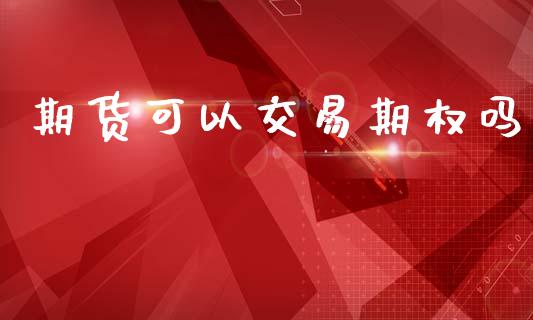 期货可以交易期权吗_https://wap.fcdydaikuan.com_新股数据_第1张