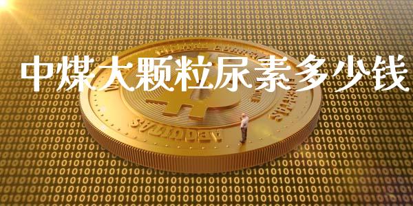 中煤大颗粒尿素多少钱_https://wap.fcdydaikuan.com_理财顾问_第1张