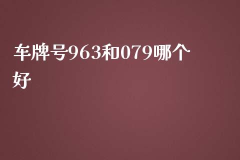 车牌号963和079哪个好_https://wap.fcdydaikuan.com_金融机构_第1张