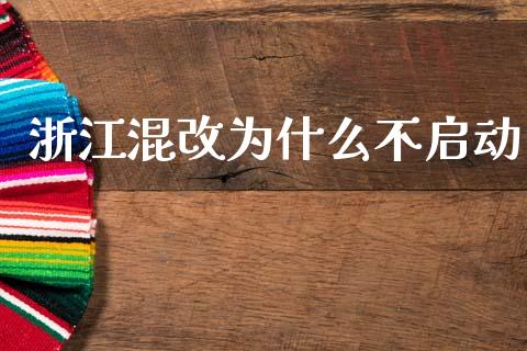浙江混改为什么不启动_https://wap.fcdydaikuan.com_金融机构_第1张
