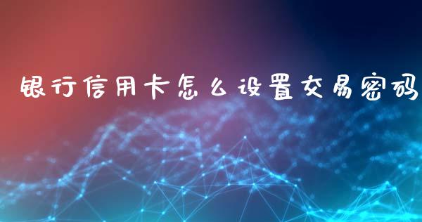 银行信用卡怎么设置交易密码_https://wap.fcdydaikuan.com_国际投资_第1张