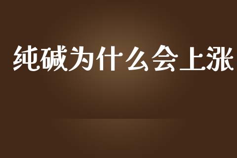 纯碱为什么会上涨_https://wap.fcdydaikuan.com_金融机构_第1张