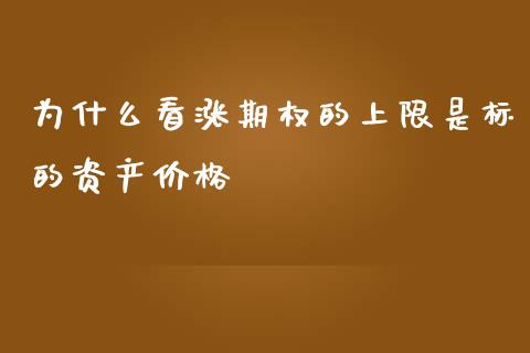 为什么看涨期权的上限是标的资产价格_https://wap.fcdydaikuan.com_理财顾问_第1张
