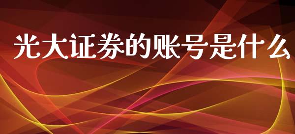 光大证券的账号是什么_https://wap.fcdydaikuan.com_国际投资_第1张