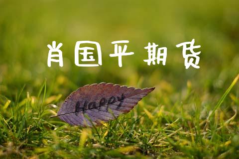 肖国平期货_https://wap.fcdydaikuan.com_金融机构_第1张