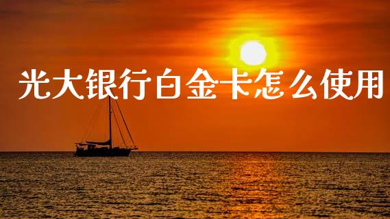 光大银行白金卡怎么使用_https://wap.fcdydaikuan.com_金融机构_第1张