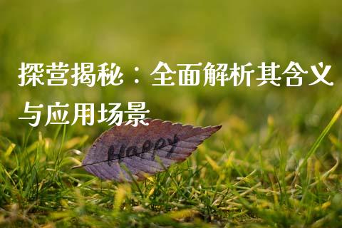 探营揭秘：全面解析其含义与应用场景_https://wap.fcdydaikuan.com_金融机构_第1张